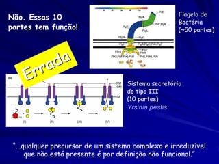 Maquina bioquímica

Função favorecida
pela seleção
Natural

Partes Individuais

Nenhuma função. Por isso, a seleção
natural não forma seus componentes.

 