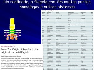 Desenho Inteligente:

Evolução:

Partes sozinhas inúteis

Partes fazem outras
funções

“A Complexidade Irreduzível” faz previsão, mas também a
evolução faz previsão

 
