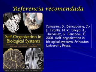 POR ISSO…
A Ecologia e um estudo
integrado e dinâmico do
ambiente, enfocado no nível
ou escopo apropriado da
hierarquia para explicar os
fenômenos observados.

 