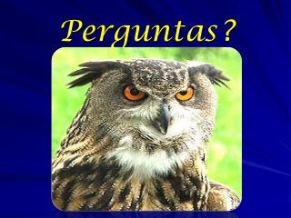 Perguntas?

 