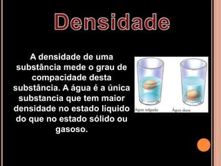 A densidade de uma 
substância mede o grau de 
compacidade desta 
substância. A água é a única 
substancia que tem maior 
densidade no estado líquido 
do que no estado sólido ou 
gasoso. 
 