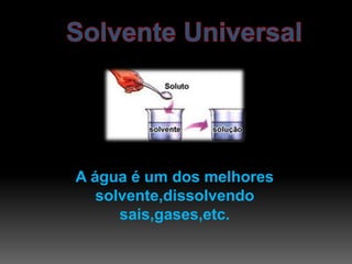 A água é um dos melhores 
solvente,dissolvendo 
sais,gases,etc. 
 