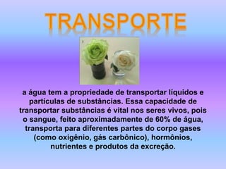 a água tem a propriedade de transportar líquidos e 
partículas de substâncias. Essa capacidade de 
transportar substâncias é vital nos seres vivos, pois 
o sangue, feito aproximadamente de 60% de água, 
transporta para diferentes partes do corpo gases 
(como oxigênio, gás carbônico), hormônios, 
nutrientes e produtos da excreção. 
 