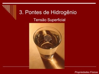 3. Pontes de Hidrogênio
     Tensão Superficial




                          Propriedades Físicas
 