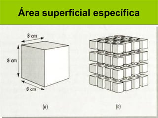 Área superficial específica

 