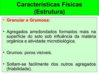 Características Físicas
(Estrutura)
• Granular e Grumosa:
• Agregados arredondados formados mais na
superfície do solo sob influência da matéria
orgânica e atividade microbiológica.
• Grumos: poros visíveis.
• Soltam-se facilmente dos outros agregados
(friabilidade).

 