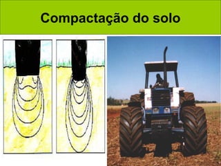 Compactação do solo

 