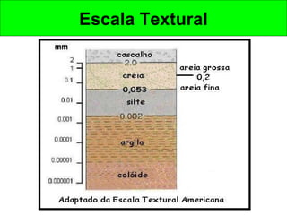 Escala Textural

 