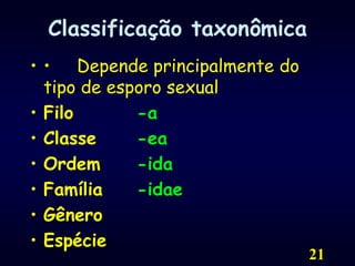 21Classificação taxonômica •     Depende principalmente do tipo de esporo sexualFilo		-aClasse		-eaOrdem		-idaFamília	-idaeGêneroEspécie