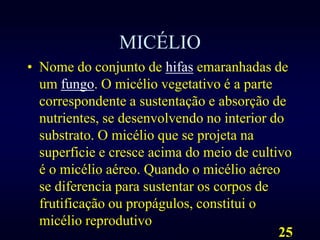 MICÉLIONome do conjunto de hifas emaranhadas de um fungo. O micélio vegetativo é a parte correspondente a sustentação e absorção de nutrientes, se desenvolvendo no interior do substrato. O micélio que se projeta na superficie e cresce acima do meio de cultivo é o micélio aéreo. Quando o micélio aéreo se diferencia para sustentar os corpos de frutificação ou propágulos, constitui o micélio reprodutivo25