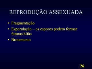 REPRODUÇÃO ASSEXUADAFragmentaçãoEsporulação – os esporos podem formar futuras hifasBrotamento26