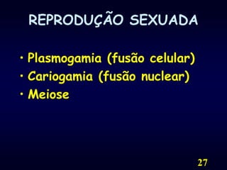 27REPRODUÇÃO SEXUADAPlasmogamia (fusão celular)Cariogamia (fusão nuclear)Meiose