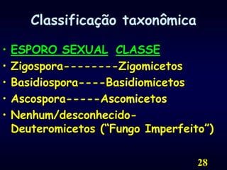 28Classificação taxonômica  ESPORO SEXUALCLASSEZigospora--------ZigomicetosBasidiospora----BasidiomicetosAscospora-----AscomicetosNenhum/desconhecido-     Deuteromicetos (“Fungo Imperfeito”)