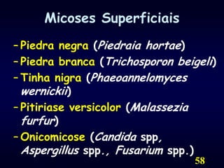 58Micoses SuperficiaisPiedra negra (Piedraia hortae)Piedra branca (Trichosporon beigeli)Tinha nigra (Phaeoannelomyces wernickii)Pitiriase versicolor (Malassezia furfur)Onicomicose (Candida spp, Aspergillus spp., Fusarium spp.)