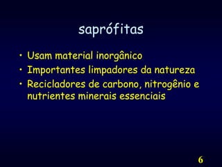 6saprófitasUsam material inorgânicoImportantes limpadores da naturezaRecicladores de carbono, nitrogênio e nutrientes minerais essenciais