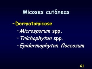 61Micoses cutâneasDermatomicoseMicrosporum spp.Trichophyton spp.Epidermophyton floccosum