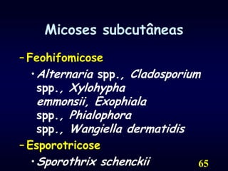 65Micoses subcutâneasFeohifomicoseAlternaria spp., Cladosporium spp., Xylohypha emmonsii, Exophiala spp., Phialophora spp., Wangiella dermatidisEsporotricoseSporothrix schenckii