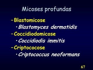 67Micoses profundasBlastomicoseBlastomyces dermatidisCoccidiodomicoseCoccidiodis immitisCriptococoseCriptococcus neoformans