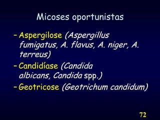 72Micoses oportunistasAspergilose (Aspergillus fumigatus, A. flavus, A. niger, A. terreus)Candidíase (Candida albicans, Candida spp.)Geotricose (Geotrichum candidum)