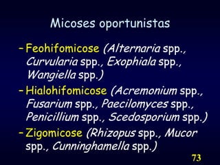 73Micoses oportunistasFeohifomicose (Alternaria spp., Curvularia spp., Exophiala spp., Wangiella spp.)Hialohifomicose (Acremonium spp., Fusarium spp., Paecilomyces spp., Penicillium spp., Scedosporium spp.)Zigomicose(Rhizopus spp., Mucor spp., Cunninghamella spp.)