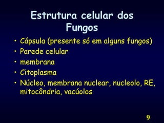 9Estrutura celular dos FungosCápsula (presente só em alguns fungos)Parede celularmembranaCitoplasmaNúcleo, membrana nuclear, nucleolo, RE, mitocôndria, vacúolos 		