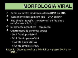 MORFOLOGIA VIRAL
1. Cerne ou núcleo de ácido nucléico (DNA ou RNA)
 Geralmente possuem um tipo – DNA ou RNA
 Fita simples (single stranded – ss) ou fita dupla
(double stranded – ds)
 Informações genéticas – replicação
 Quatro tipos de genomas virais:
- DNA fita dupla-dsDNA
- DNA fita simples-ssDNA
- RNA fita dupla-dsRNA
- RNA fita simples-ssRNA
Exceção: Citomegalovírus e Mimivírus – possui DNA e m-
RNAs
 