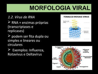 MORFOLOGIA VIRAL
1.2. Vírus de RNA
 RNA + enzimas próprias
(transcriptases e
replicases)
 podem ser fita dupla ou
simples e lineares ou
circulares
 Exemplos: Influenza,
Rotavívus e Deltavírus
 