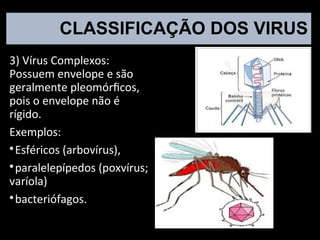 CLASSIFICAÇÃO DOS VIRUS
3) Vírus Complexos:
Possuem envelope e são
geralmente pleomórficos,
pois o envelope não é
rígido.
Exemplos:

Esféricos (arbovírus),

paralelepípedos (poxvírus;
varíola)

bacteriófagos.
 
