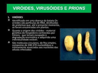 1. VIRÓIDES
 Identificado em uma doença da batata Os
viróides são partículas de RNA, destituídas
de proteínas que, até o presente momento,
só foram encontradas em plantas.
 Quanto a origem dos viróides - material
genético do hospedeiro conhecidas por
íntrons - que teriam escapado à
degradação enzimática e adquirido uma
individualidade estável.
 São moléculas circulares, de fita simples,
compostas de 240-370 nucleotídeos e
intimamente associadas aos nucléolos das
células infectadas
VIRÓIDES, VIRUSÓIDES E PRIONS
 