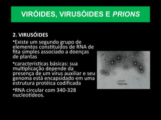 2. VIRUSÓIDES
•Existe um segundo grupo de
elementos constituídos de RNA de
fita simples associado a doenças
de plantas
•características básicas: sua
multiplicação depende da
presença de um vírus auxiliar e seu
genoma está encapsidado em uma
estrutura protéica codificada
•RNA circular com 340-328
nucleotídeos.
VIRÓIDES, VIRUSÓIDES E PRIONS
 