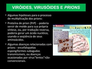 • Algumas hipóteses para o processo
de multiplicação dos prions:
• Proteína de prion (PrP) - poderia
servir de molde para sua própria
síntese, ou, por tradução reversa,
poderia gerar um ácido nucléico,
usando a seqüência de seus
aminoácidos.
• Algumas doenças relacionadas com
prions - encefalopatias
espongiformes subagudas
transmissíveis, ou doenças
ocasionadas por vírus“lentos”não-
convencionais.
VIRÓIDES, VIRUSÓIDES E PRIONS
 