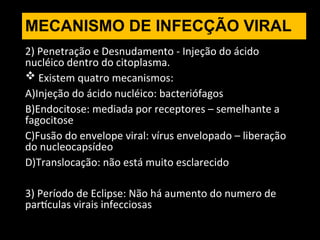 MECANISMO DE INFECÇÃO VIRAL
2) Penetração e Desnudamento - Injeção do ácido
nucléico dentro do citoplasma.
 Existem quatro mecanismos:
A)Injeção do ácido nucléico: bacteriófagos
B)Endocitose: mediada por receptores – semelhante a
fagocitose
C)Fusão do envelope viral: vírus envelopado – liberação
do nucleocapsídeo
D)Translocação: não está muito esclarecido
3) Período de Eclipse: Não há aumento do numero de
partículas virais infecciosas
 