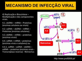 4) Replicação e Biossíntese –
Multiplicação e dos componentes
virais.
4.1. dsDNA – mRNA – Proteínas
(enzimas celulares ou virais)
4.2. ssDNA – dsDNA – mRNA –
Proteinas (enzimas celulares)
4.3. dsRNA – mRNA – proteínas
(enzimas virais)
4.4. ssRNA = mRNA – proteínas
(enzimas virais e celulares) ou
4.4.1. ssRNA – ssDNA – dsDNA –
mRNA – proteínas (enzimas virais -
Transcriptase reversa) - Retrovírus
MECANISMO DE INFECÇÃO VIRAL
http://www.prof2000.pt/
4.1
4.2
4.3
4.4
Retrovirus
 