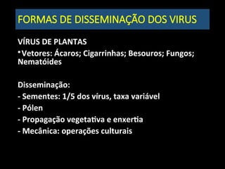 FORMAS DE DISSEMINAÇÃO DOS VIRUS
VÍRUS DE PLANTAS

Vetores: Ácaros; Cigarrinhas; Besouros; Fungos;
Nematóides
Disseminação:
- Sementes: 1/5 dos vírus, taxa variável
- Pólen
- Propagação vegetativa e enxertia
- Mecânica: operações culturais
 