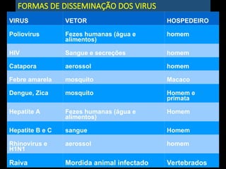 FORMAS DE DISSEMINAÇÃO DOS VIRUS
VIRUS VETOR HOSPEDEIRO
Poliovirus Fezes humanas (água e
alimentos)
homem
HIV Sangue e secreções homem
Catapora aerossol homem
Febre amarela mosquito Macaco
Dengue, Zica mosquito Homem e
primata
Hepatite A Fezes humanas (água e
alimentos)
Homem
Hepatite B e C sangue Homem
Rhinovirus e
H1N1
aerossol homem
Raiva Mordida animal infectado Vertebrados
 