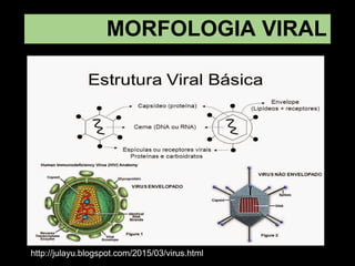 MORFOLOGIA VIRAL
http://julayu.blogspot.com/2015/03/virus.html
 