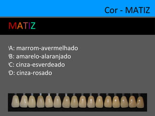 Cor - MATIZ
MATIZ
l
A: marrom-avermelhado
l
B: amarelo-alaranjado
l
C: cinza-esverdeado
l
D: cinza-rosado
 