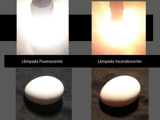 Lâmpada Fluorescente Lâmpada Incandescente
 