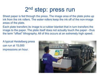 2nd step: press run
Sheet paper is fed through the press. The image area of the plate picks up
ink from the ink rollers. The water rollers keep the ink off of the non-image
areas of the plate.
Each plate transfers its image to a rubber blanket that in turn transfers the
image to the paper. The plate itself does not actually touch the paper - thus
the term "offset" lithography. All of this occurs at an extremely high speed.
A typical Heidelberg press
can run at 15,000
impressions an hour.
 