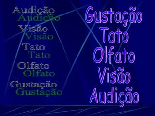 Audição Visão Tato Olfato Gustação Gustação Tato Olfato Visão Audição 