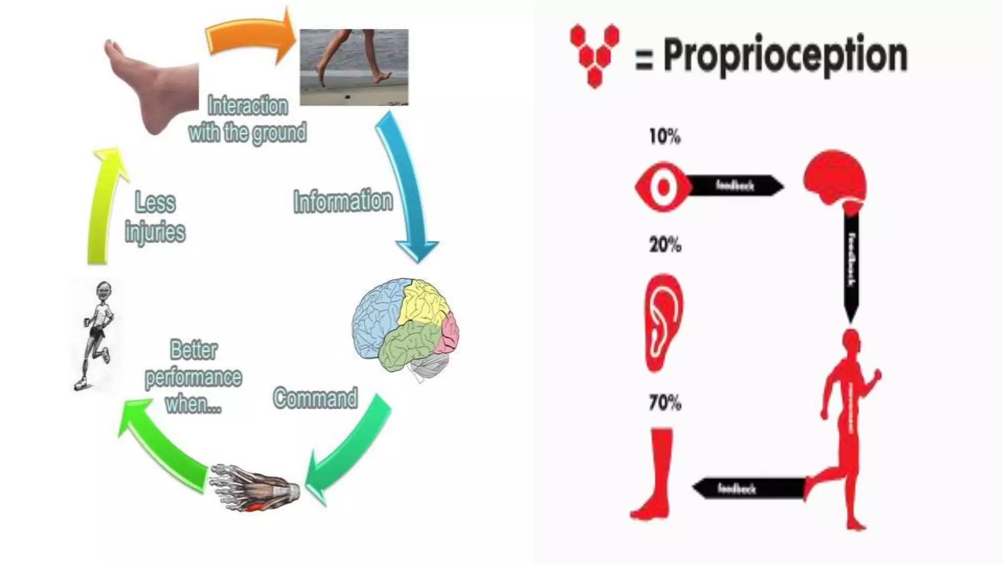 Proprioception