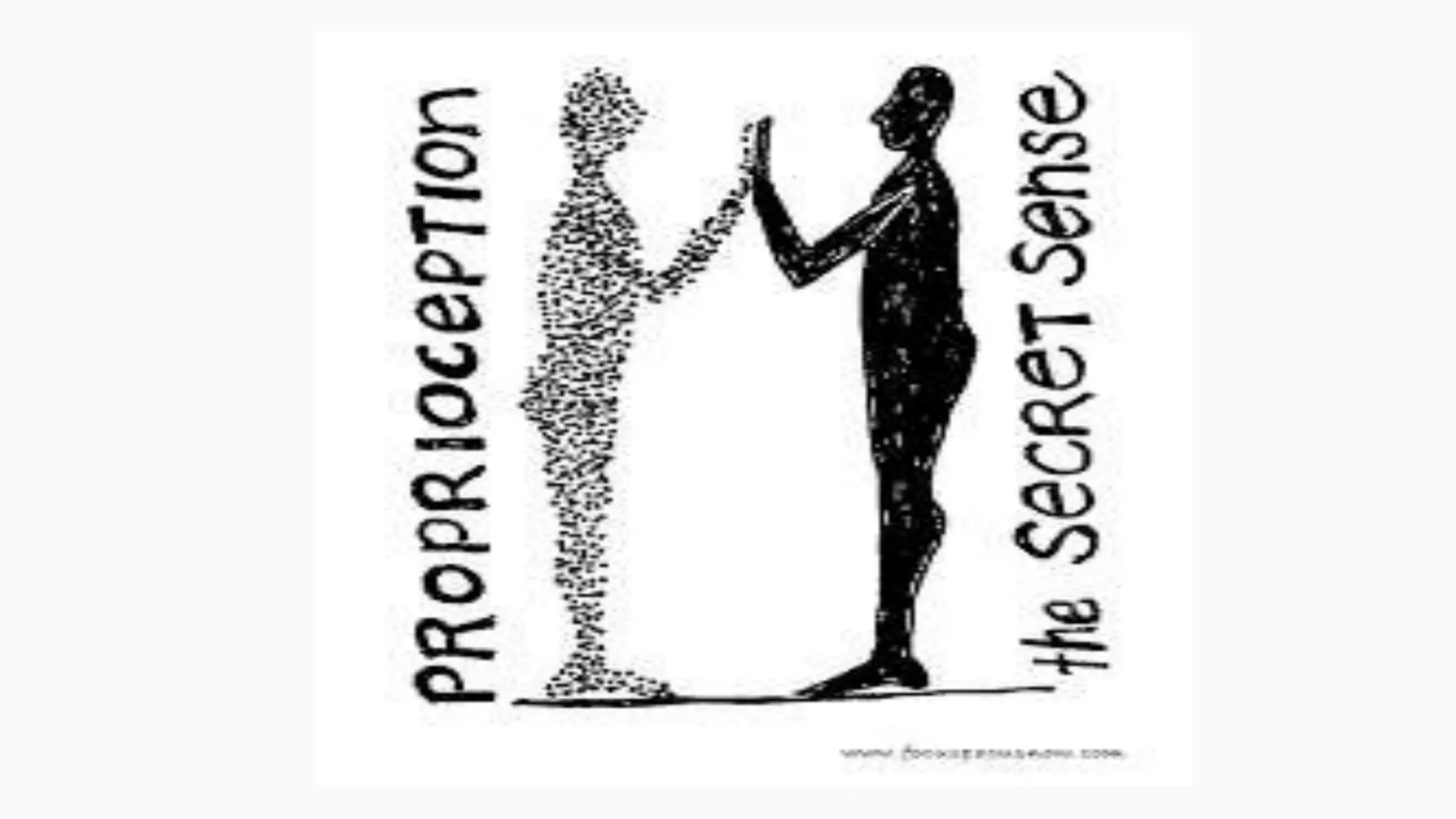 Proprioception