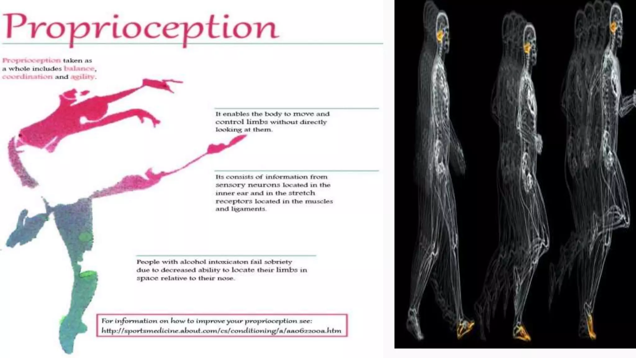 Proprioception