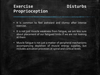 Exercise Disturbs
Proprioception
▪ It is common to feel awkward and clumsy after intense
exercise.
▪ It is not just muscle weakness from fatigue; we are less sure
about placement of our fatigued limbs if we are not looking
at them
▪ Muscle fatigue is not just a matter of peripheral mechanisms
accompanying depletion of muscle energy supplies, but
includes activation processes at spinal and cortical levels
 