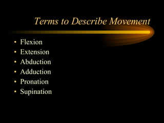 Terms to Describe Movement Flexion Extension Abduction Adduction Pronation Supination 