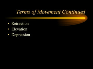 Terms of Movement Continued Retraction Elevation Depression 