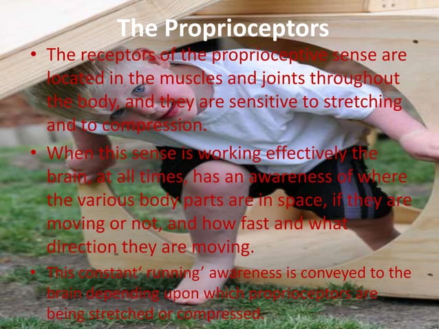 Proprioception Position Sense Proprioception sense | PPT