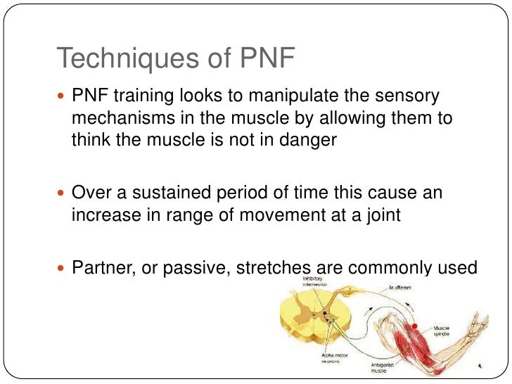 proprioceptive neuromuscular facilitation proprioceptive neuromuscular facilitation