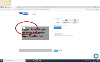 Online assessment with Proprofs pdf