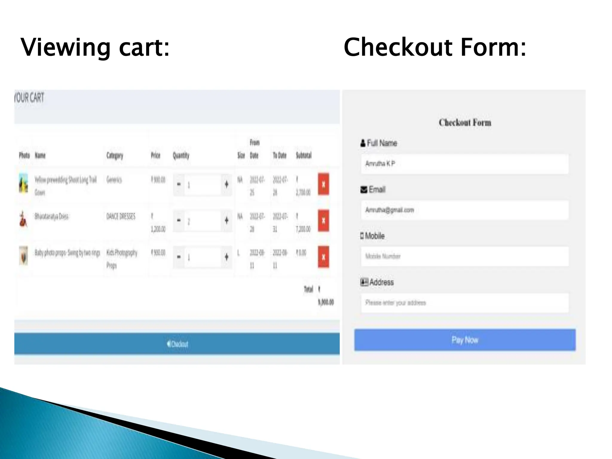 Viewing cart: Checkout Form:
 